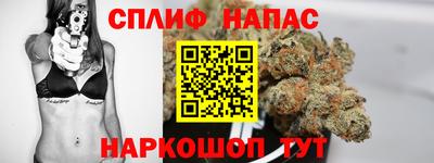 Альфа ПВП Кингисепп