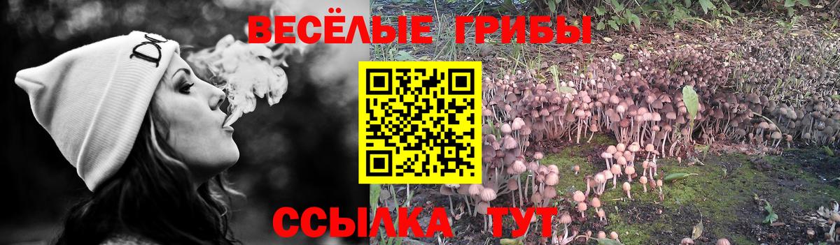 Корсаков  Галлюциногенные грибы ЛСД  Псилоцибиновые грибы Magic Shrooms  Вход с VPN 