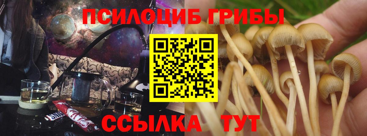 Галлюциногенные грибы Magic Shrooms Корсаков